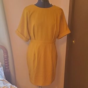 Asos Mustard knee length dress size US 10